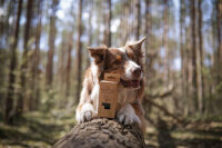 TSP biologisch abbaubare Hundekotbeutel 8er Pack