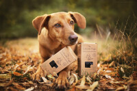 TSP Bioabbaubare Hundekotbeutel 8er Pack mit Henkeln